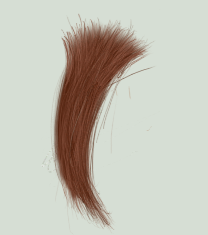 Hair (2nd lock) inclusion